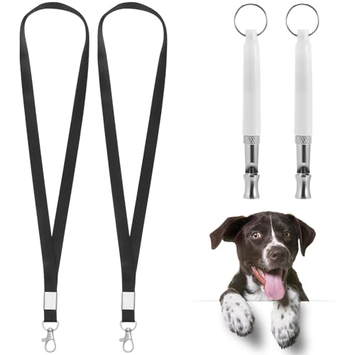 FIXOSHEE 2 ʖih~ gJ yʎ^ѕ֗ ybgPpzCbX gїpXgbvt ^^Ή