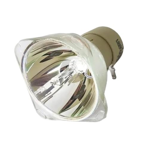 Ampoule de projecteur pour MX507 MX528 MS619ST MS630ST MX631ST