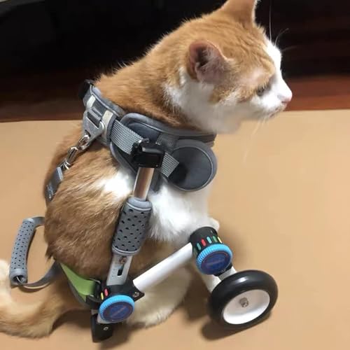 Rollstuhl für Hunde Verstellbarer Leichtes Hund Rollstuhl, Kleiner Katzen -Haustierwagen mit Weichem Gurt, Unterstützung Von Handicap Tier Schwache Hinterbeine Rehabilitationstraining ( Size : XXS Siz