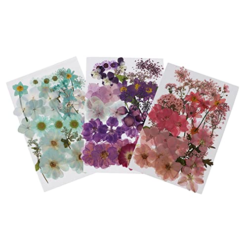 Flores Secas Naturales para Manualidades DIY miniatura 1