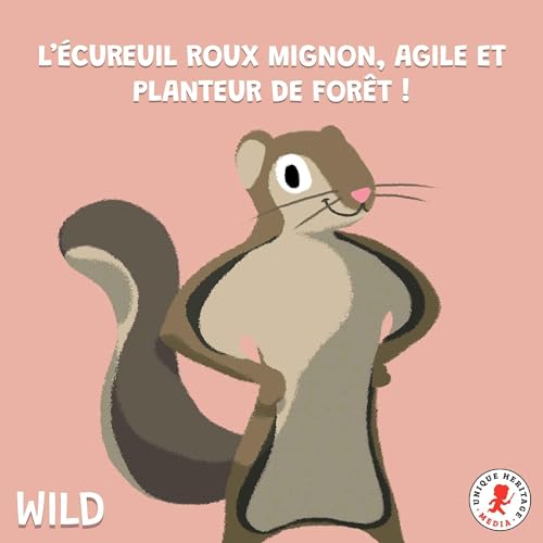 Wild, le podcast animalier - L'&eacute;cureuil roux, le planteur de for&ecirc;t