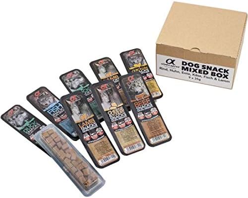 aquarium plants on driftwood