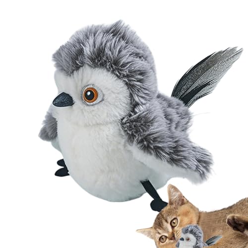 C^NeBuȔL̂ᒹ - dCt̂AAp[g̔Lێ邽߂̉́ALRȎ̖{\AX|[cXLコ̂AʔٗpANZT[|ybg̉gC