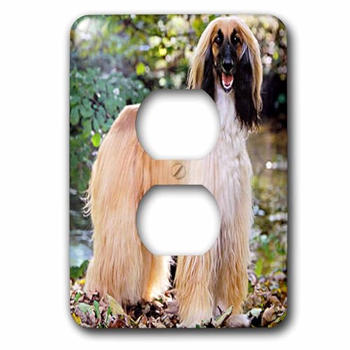 Afghan Hound double prise décoration murale idée cadeau passionné chien