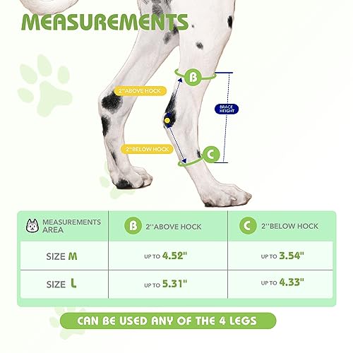 Image of Dog Leg Braces for Back Leg, Dog Knee Brace Compression Support for Dog Joints and Legs, for Injury and Sprain Protection, Wound Care and Lost of Arthrit Stability (Large)