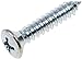 Dorman 851-404#10 X 1" Metric Sheet Metal Screw with Phillips Oval Head