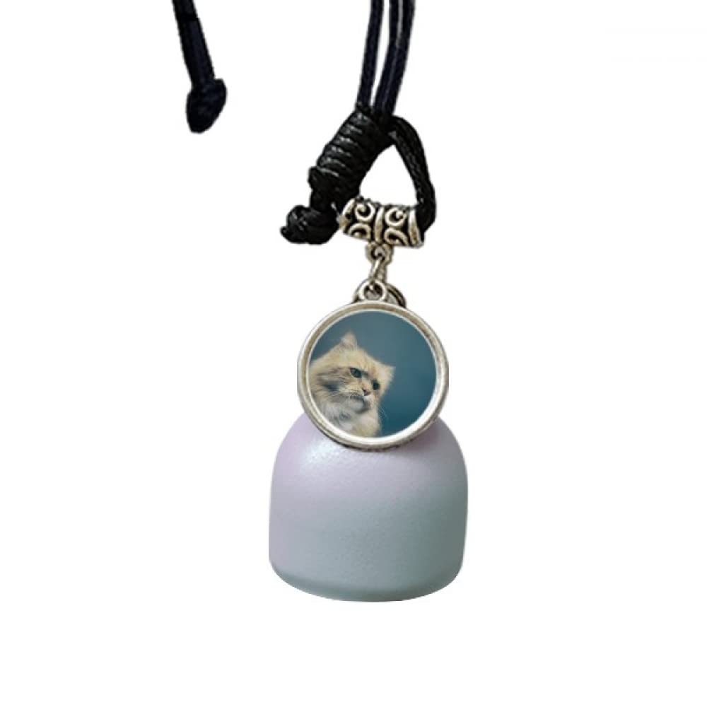 Gato azul artístico con campana de viento para coche y composición fotográfica