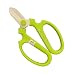 Flower Scissors Hand Creation F-170 limited color Light Green