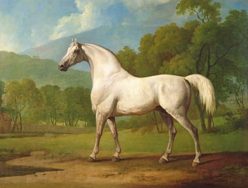 Impression d'art George Stubbs tableau Mambrino sur toile haute définition 60x90