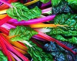 Swiss Rainbow Chard 125 Seeds