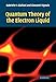 Quantum Theory of the Electron Liquid