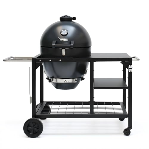 Flintex 22 Inch Kamado Grill,Charcoal & Wood Smoker Grill with Rolling Cart, Multi-Function BBQ Grill with Stainless Steel Warming Rack, Pizza Stone, and Vegetables Basket for Outdoor Backyard Cooking