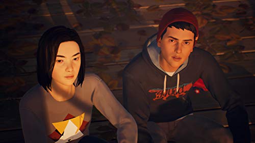 Life is Strange 2 pour PS4 jeu complet en version physique - 3