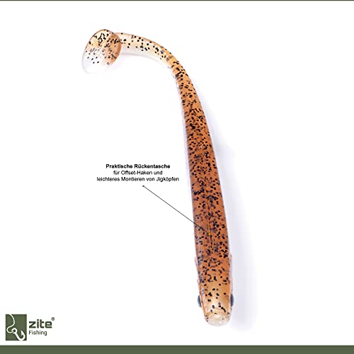 Zite Fishing set di esche in gomma per lucioperca