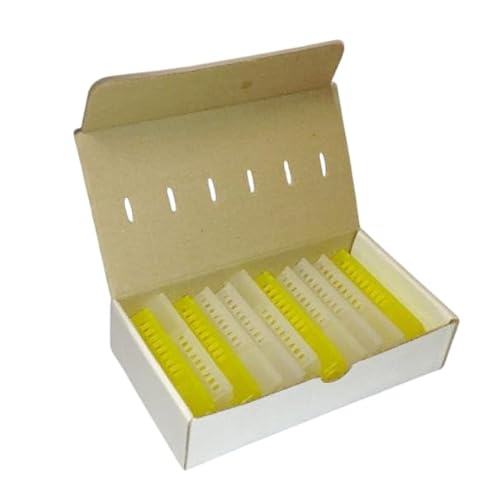 APICOLTURA.COM Caja de cartón ventilada para el envío de 12 Reinas Blanco