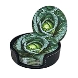 Juego de 6 posavasos de piel con estampado de repollo brillante con caja de piel sintética, resistentes al calor, para mesa de cristal, oficina en casa