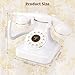 HSCY Audio Guest Book Wedding Phone, Audio Guest Book Record Customized Audio Messages Guest Book Alternatives Classic Retro Phone for Parties Birthdays Rentals Confessions Special Occasions