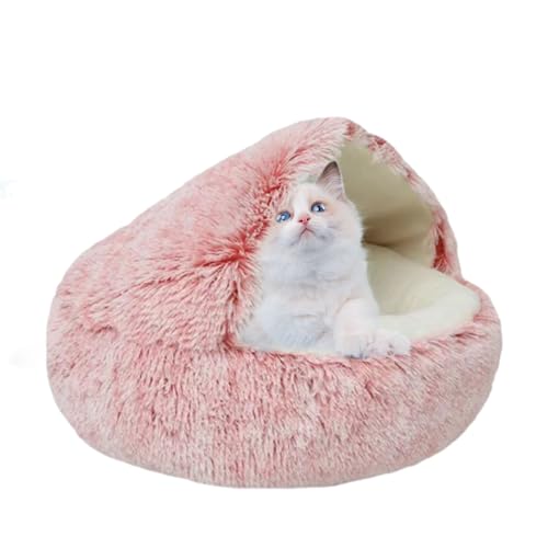 Lpq[^[xbh - hLpq[^[xbhAybgxbh߂ | Lpq[^[~̔L̃xbh̓A |ybg̐e Dƌ G  z[ rO[ Q 񕜊 