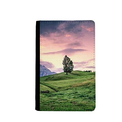 Étui passeport arbre rose multicolore portefeuille de voyage classique 3.7x5.8"