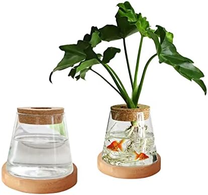 YWNYT 2pcs Plants Propagation Station, Glass Plant Terrarium Plant Propagation Planter Water Station Planting Glass Vase for Growing Hydroponic Home Office Table Decor