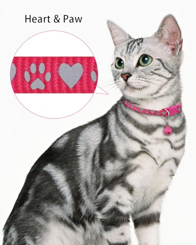 image for TagME Cat Collar with Name Tag, Personalized Reflective Cat Collar Bre