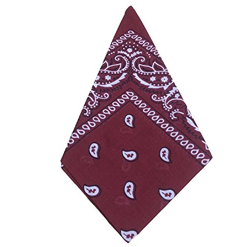 I LOVE DIY Bandana/sjaal met paisley-patroon van katoen, multifunctioneel, 56 x 56 cm, vierkant, Azijn rood, longeur, 56