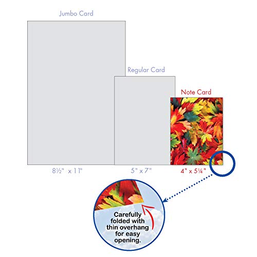 The Best Card Company - 20 Assorted Blank Plant Cards Boxed (4 X 5.12 Inch) (10 Designs, 2 Each) - Lavish Leaves Am7177Ocb-B2X10 #TOP6