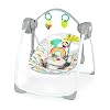 Bright Starts Playful Paradise Port...