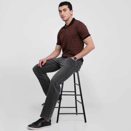 Image of Park Avenue Men Slim Fit Stripe Pattern Pure Cotton Polo Neck Half Sleeve Casual T-Shirt