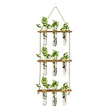 XXXFLOWER Wall Hanging Propagation Station with Wooden Stand Glass Test Tubes Tiered Planters Wall T