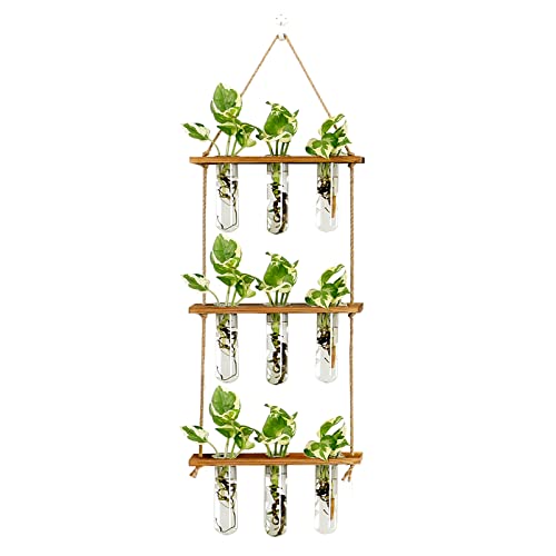 Xxxflower Wall Hanging Propagation Station With Wooden Stand Glass Test Tubes Tiered Planters Wall Terrarium For Home Office Plant Hanger Flower Vases Wall Decor Hydroponic Cuttings (9 Tube Vases) #TOP15