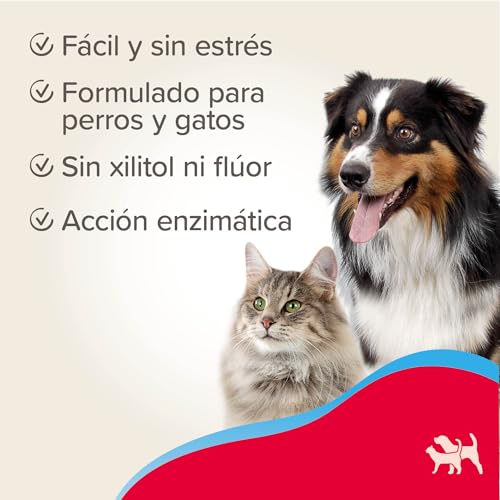Beaphar Dental Gel Hund und Katze 100gr, Standard, einzigartig, BEA15685