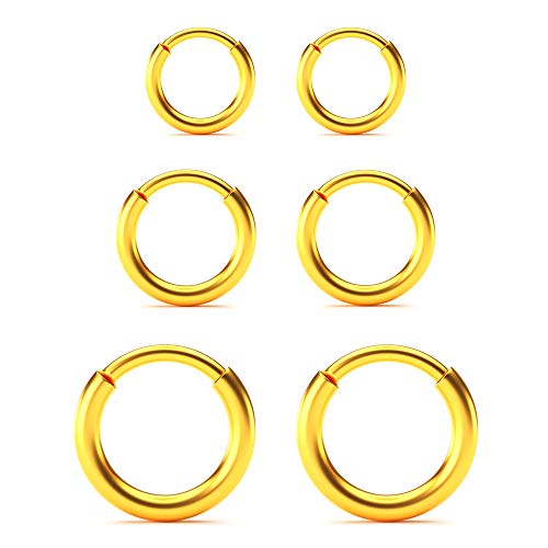 Image of Surgical Stainless Steel Hoop Earrings - Endless Small Hoop Earrings Set for Men Women, Hypoallergenic Tragus Earrings(8 /10 /12 /14mm)