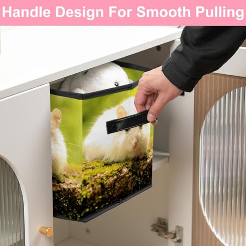Placard encombré ? Découvrez notre boîte de rangement pliable blanche - 7