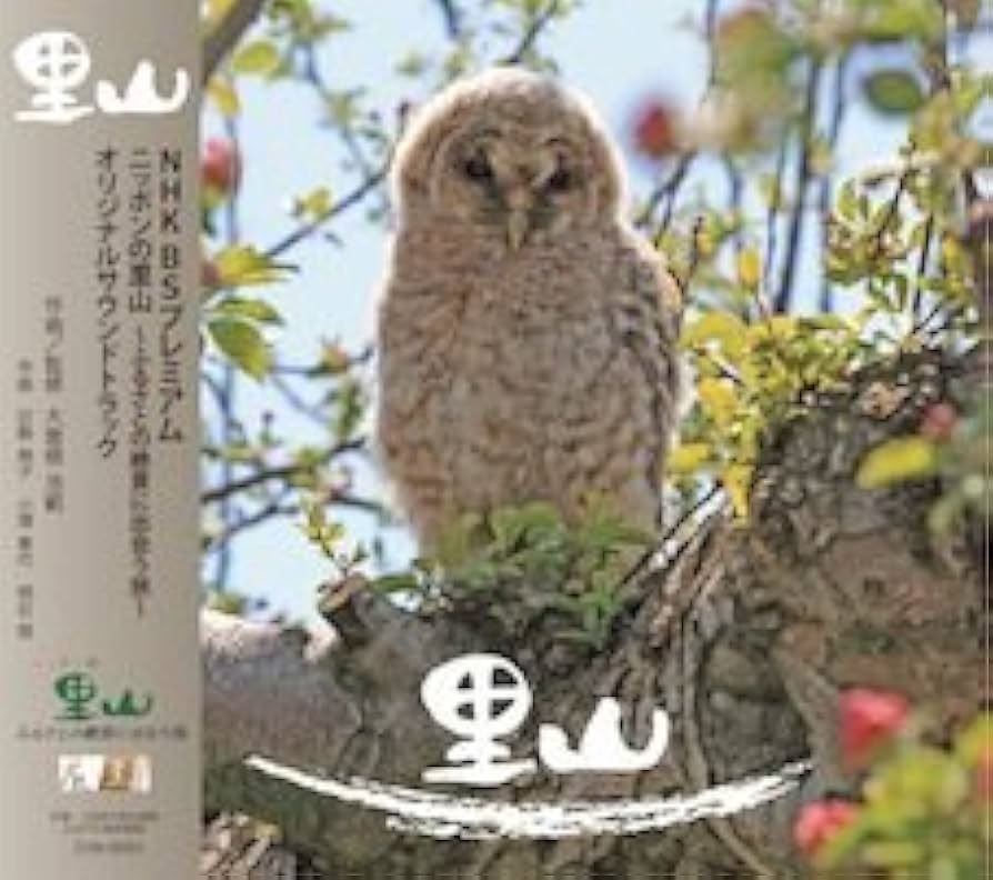 ニッポンの里山～ふるさとの絶景に出会う旅～ DVD-BOX 51ChimDBiVL._UF350,350_QL50_.jpg