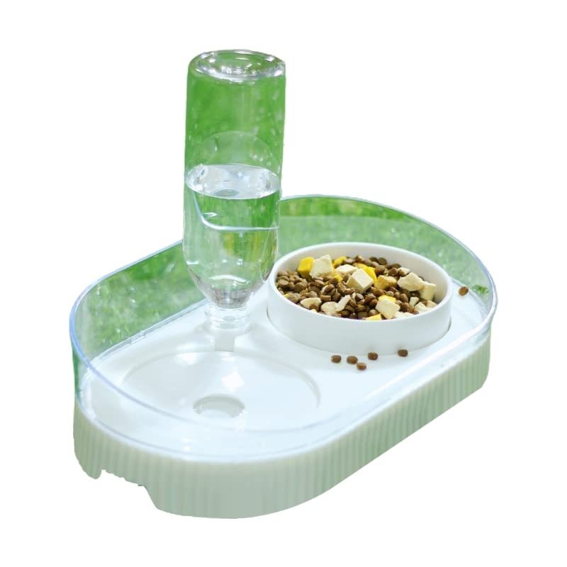 Bol de nourriture surélevé chat vert et blanc pour un coin repas propre