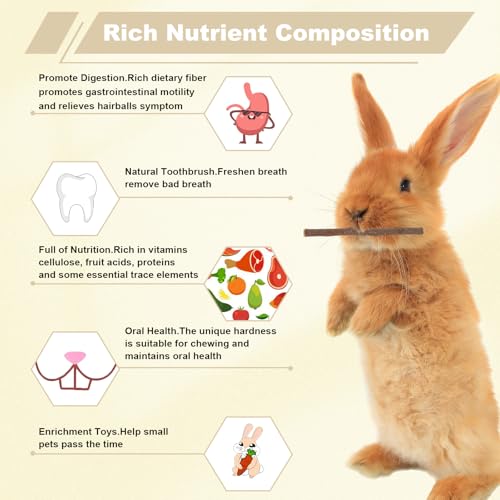 900g Apple Sticks Wood Chew Sticks Toys for Rabbits Chinchillas Guinea Pigs Hamsters Bunny Molar Chew Treats Toys for Teeth, Small Animals Snacks - Image 2