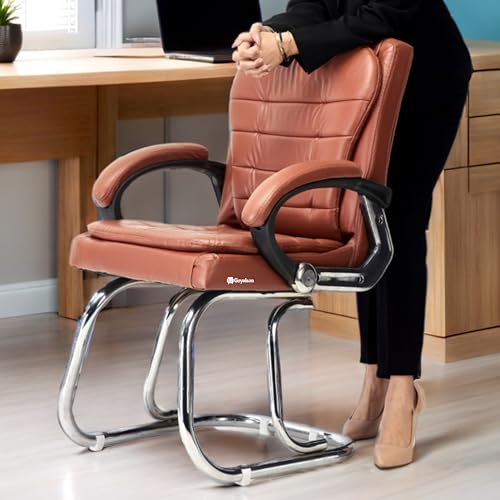 Image of Stainless Steel Special Director Principal Manager Office Visitor Study Chair with Arm Rest with Double Pipe Frame and Cushioned Seat Back (1, Brown, Double Pipe Frame)