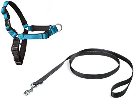 petsafe easy walk deluxe