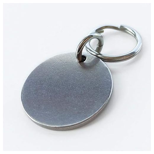 Personlig husdjur katt hund id-bricka halsband tillbehör MW001 specialgjort halsband kedja berlock tillbehör för hundmärken namnprodukter hundbricka (färg: industriellt stål, storlek: Medium 29 mm)