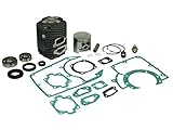 zylinder ts 250  Sägenspezi Zylinder Kolben Set passend für Stihl TS 760 TS760 58mm inkl. Dichtsatz, Zündkerze, Kurbelwellenlager und Kolbenbolzenlager
