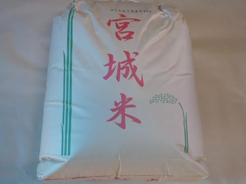 V _ƒ!! RVqJ24.5kg(ߘa7N{錧Y) đ܂̏ԂŔ