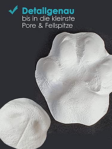 bambelina® Gipsabdruck Set Hundepfote und Hundenase. 3D Abdruck-Set Hund und Katze für Pfote und Schnauze, wiederverwendbare Gießform, Deutsche Herstellung, Pfotengröße XS bis M