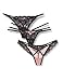 Produktbild Iris & Lilly BELK554M3 tanga, Mehrfarbig (Schwarz/Nostalgie Rose), 14, 3er-Pack