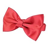 CVNRCLP Fliege für Jungen Herren, Längenverstellbar Fliege Klassische, für Party, Karneval, Hochzeit (Rot)