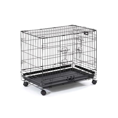 2v`x Vv[ ] Q[W MTCY T[N P[W   ybgp SIMPLY