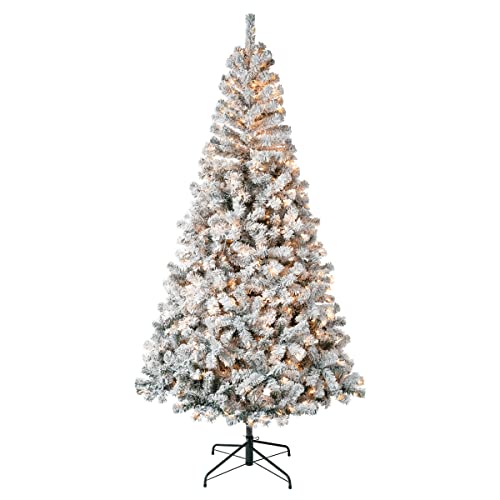 National Tree Company First Traditions Pre-Lit Acacia Flocked Tree Christmas Tree, Clear Incandescent Lights, Plug in, 7.5 ft National Tree Company First Traditions Pre-Lit Acacia Flocked Tree Christmas Tree, Clear Incandescent Lights, Plug in, 7.5 ft
