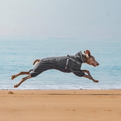 PAWBOSE Regenmantel Hund mit Geschirr Wasserdicht für Kleine, Mittlere und Große Hunde, Reflektierender Regenfester Hunderegenjacke für Sommer, Schöne Hübsche Hundekleidung, 4 Beine, Grau, 2XL
