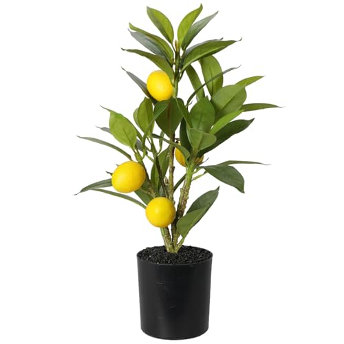 URBNLIVING Artificial Lemon Citron Tree in 9cm Pot Lifelike Citrus Fruit Plant for Indoor Home and Office Decor Perfect for Adding a Fresh, Vibrant Touch to Any Space