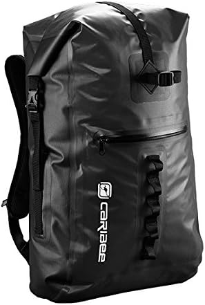 white louis backpack